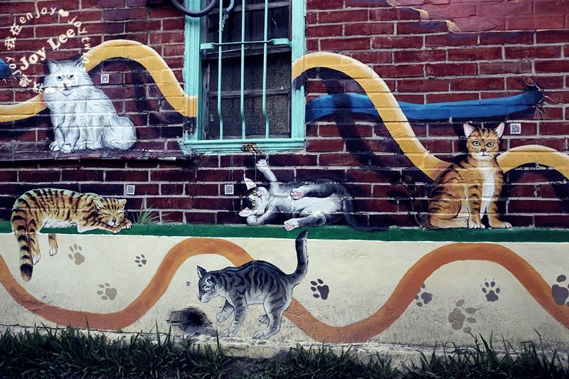屋頂上的貓 貓咪小學堂 (7)