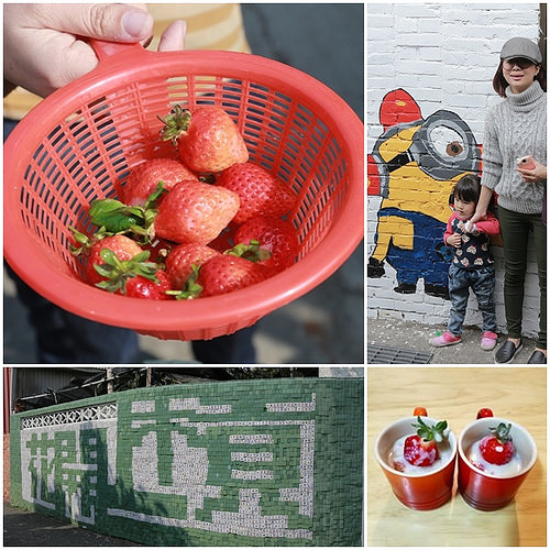 [新春遊樂趣]趕上春節盛產季採草莓，快到善化美裕草莓園吧！